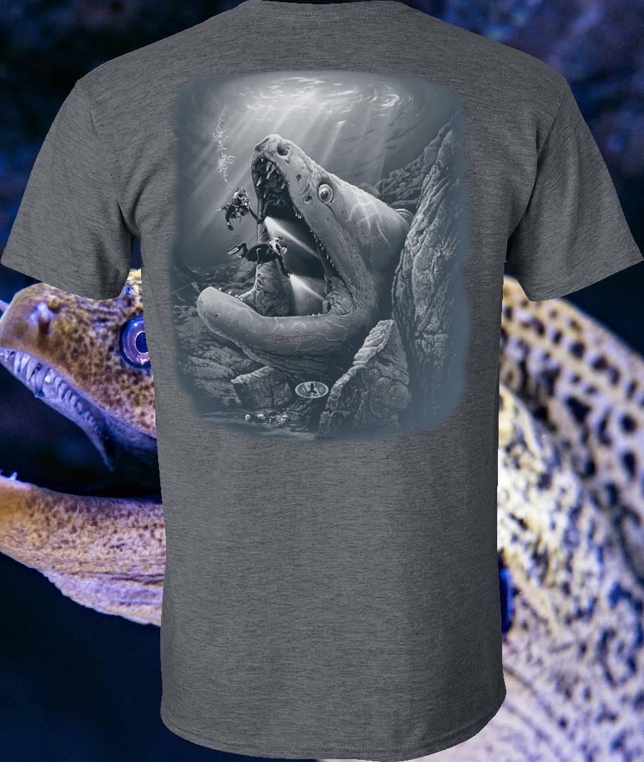 eel cave diving at night on scuba.