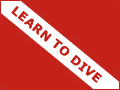 Online scuba lessons and certification.